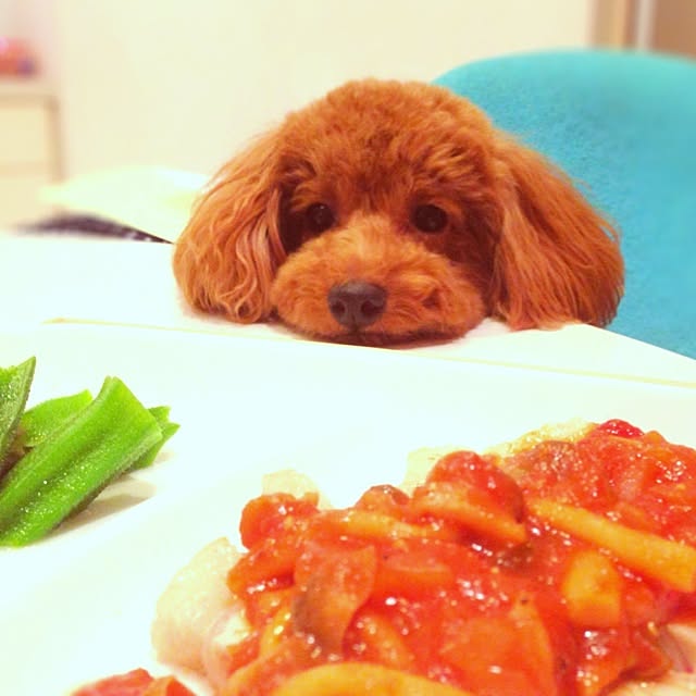 popさんの実例写真