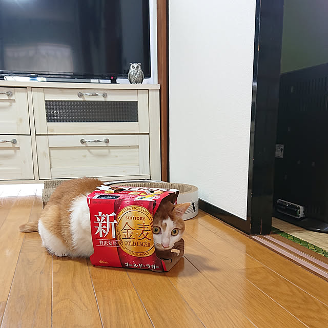 mugi77327732さんの実例写真