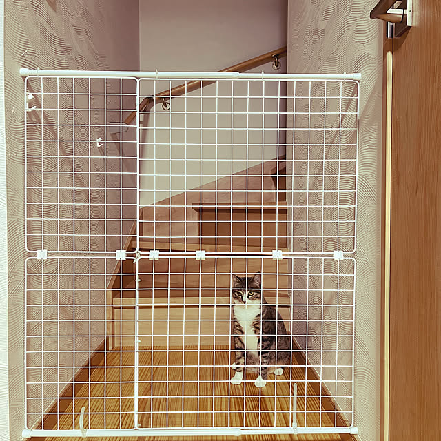marinkarinさんの実例写真