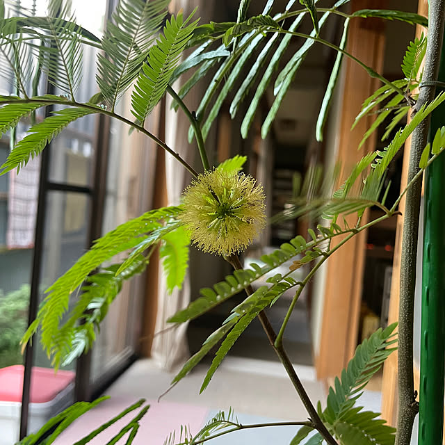 sugichanさんの部屋