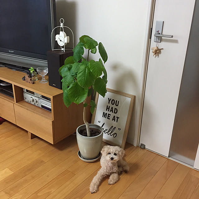Mさんの実例写真