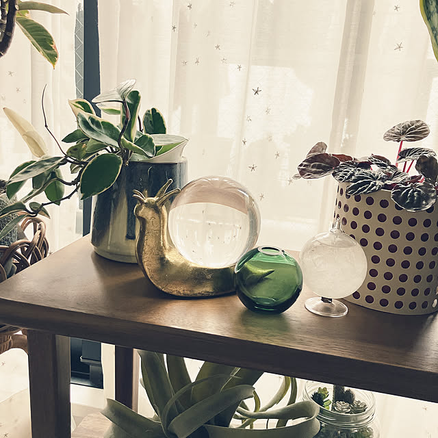 raraさんの実例写真