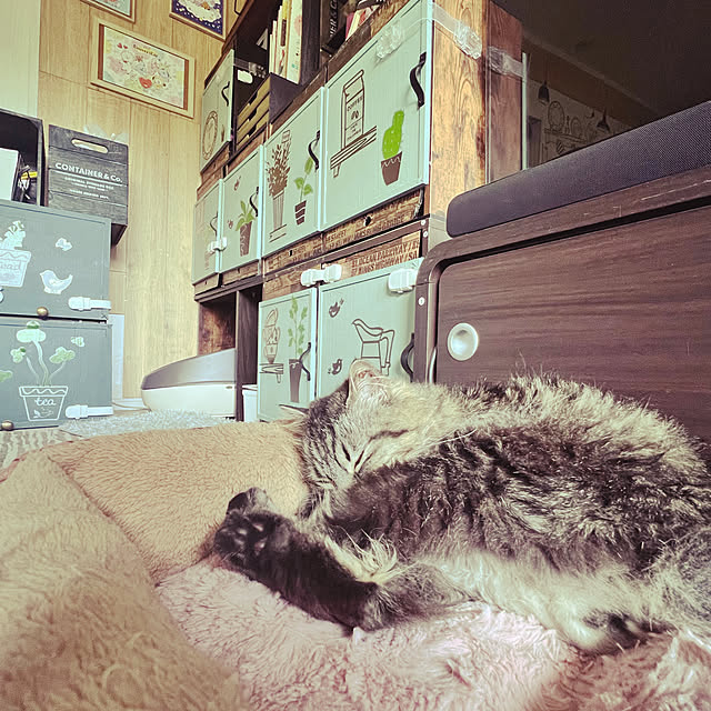 sumoanzuさんの実例写真