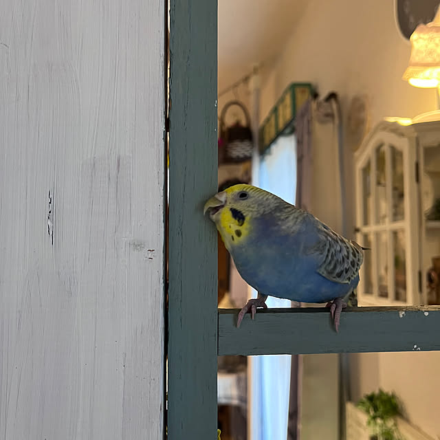Atsukoさんの部屋