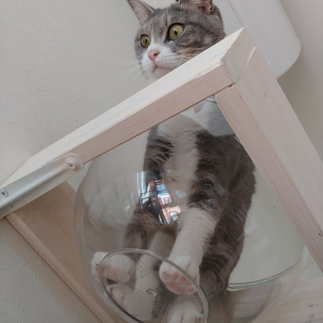 muuさんの実例写真