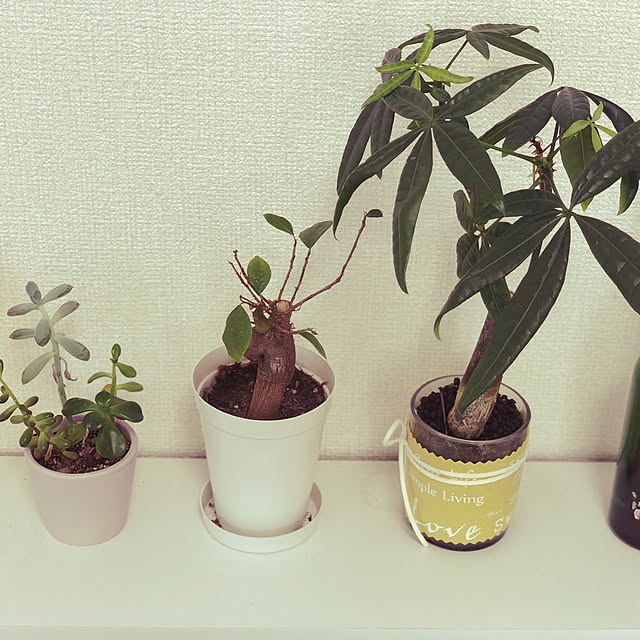 Kanaさんの実例写真