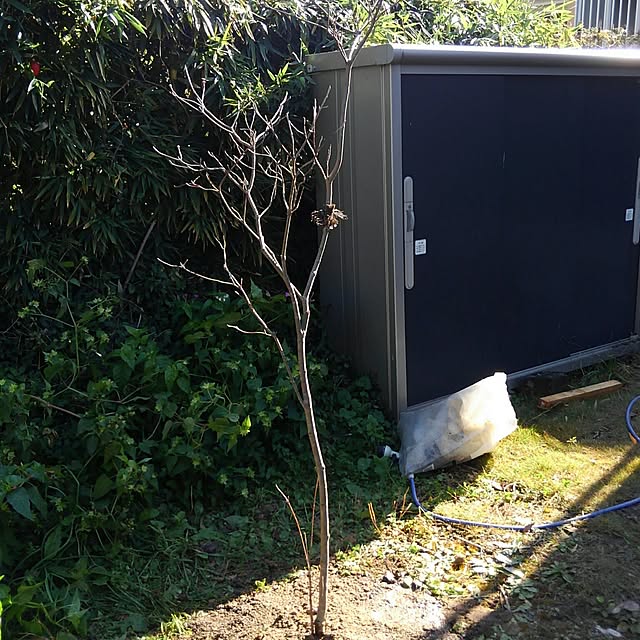 tanakaさんの実例写真