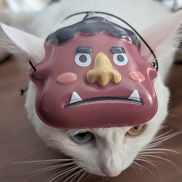 necoさんの実例写真