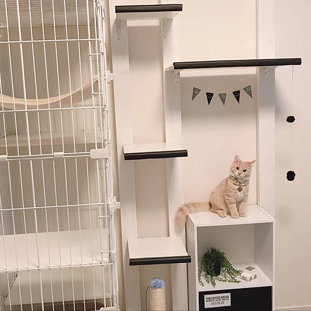 ABBYさんの実例写真