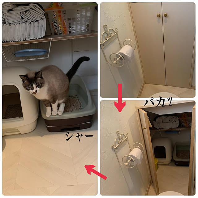 bowbowcoさんの実例写真
