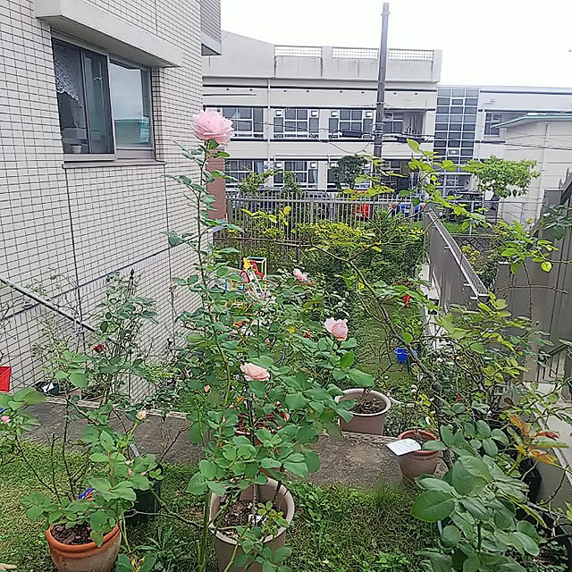 hiromimiさんの実例写真
