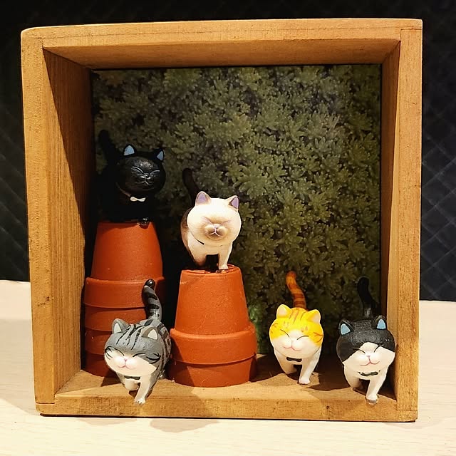 mikamaiさんの実例写真