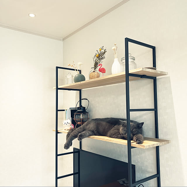 kaoさんの実例写真