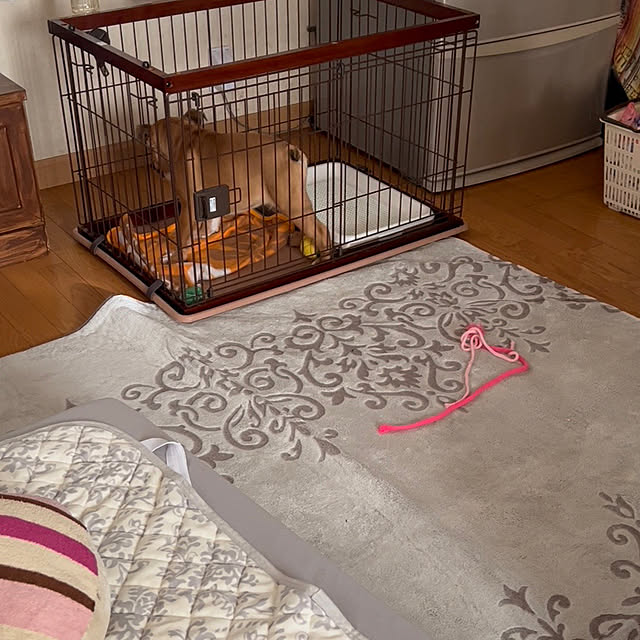 chi_gogaさんの部屋