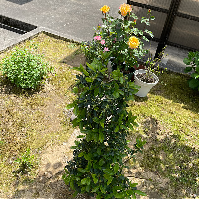kakoさんの実例写真