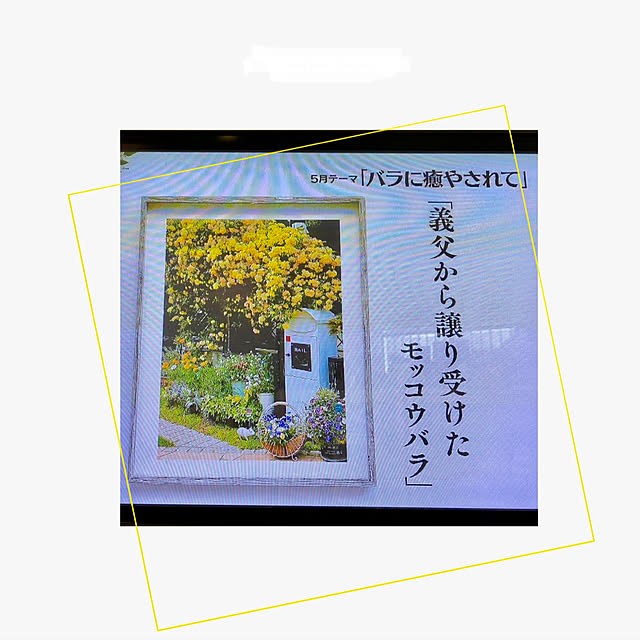 kurumeruさんの実例写真