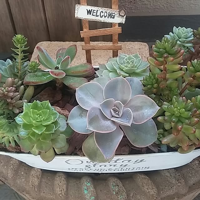 yumi0714さんの実例写真