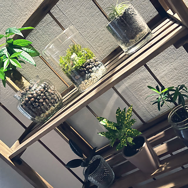 kinacoさんの部屋