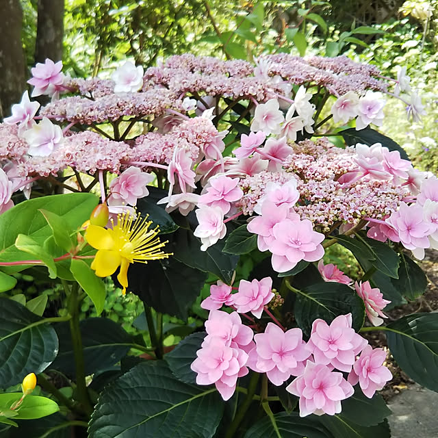 yum0408さんの実例写真