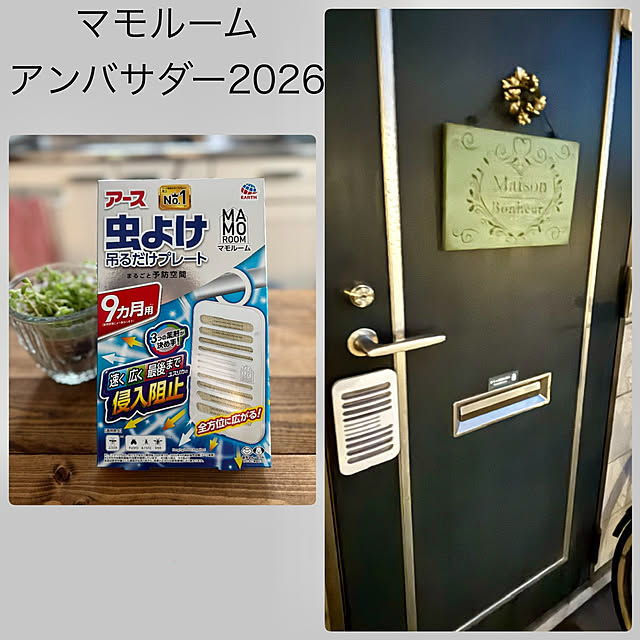canetteさんの実例写真
