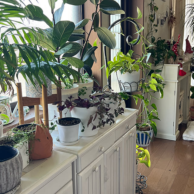 youさんの実例写真