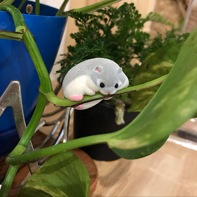 2500さんの実例写真