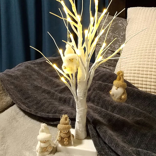 noaさんの実例写真