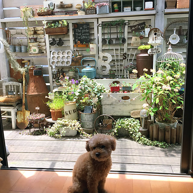kurumichocoさんの実例写真
