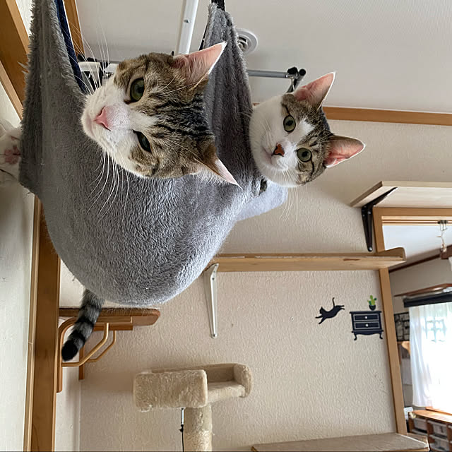 Lufuさんの実例写真