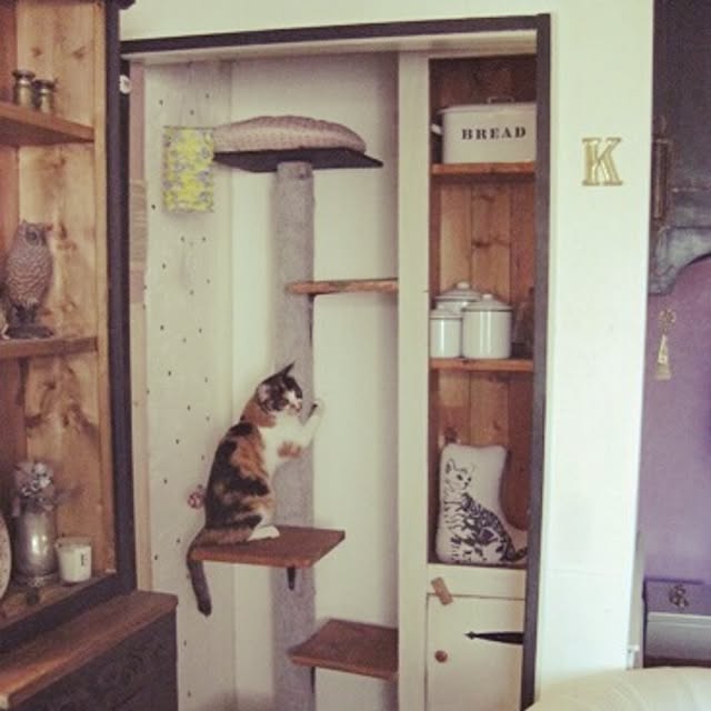 kurumiさんの実例写真