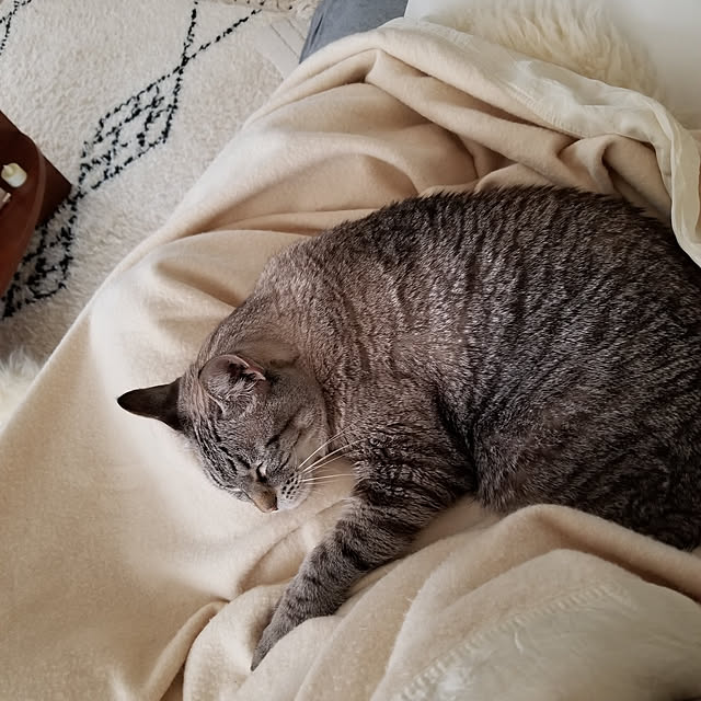 neoさんの実例写真