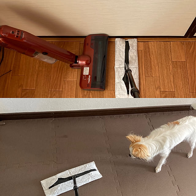 toratanさんの実例写真