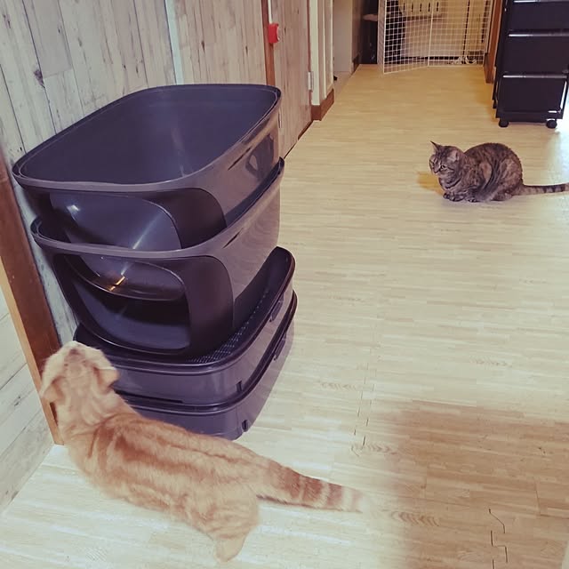 runaさんの部屋