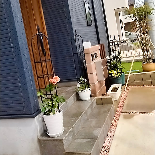 Shinさんの実例写真