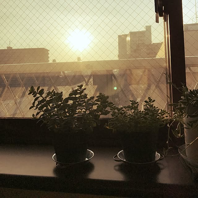 rinrinさんの実例写真