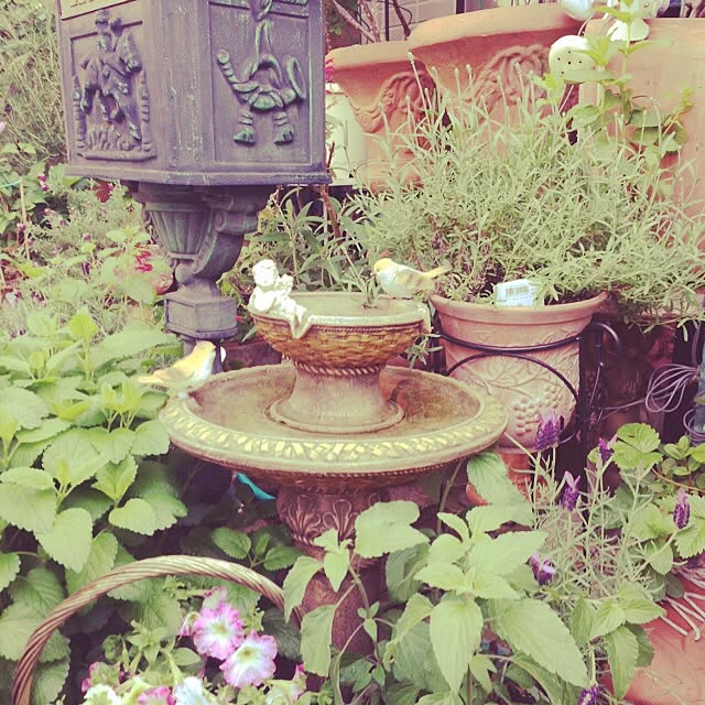 lavender_roseさんの実例写真
