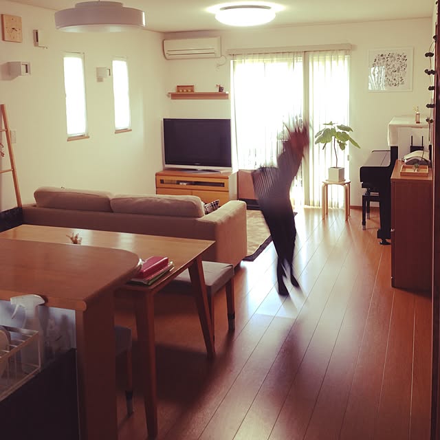 実例写真