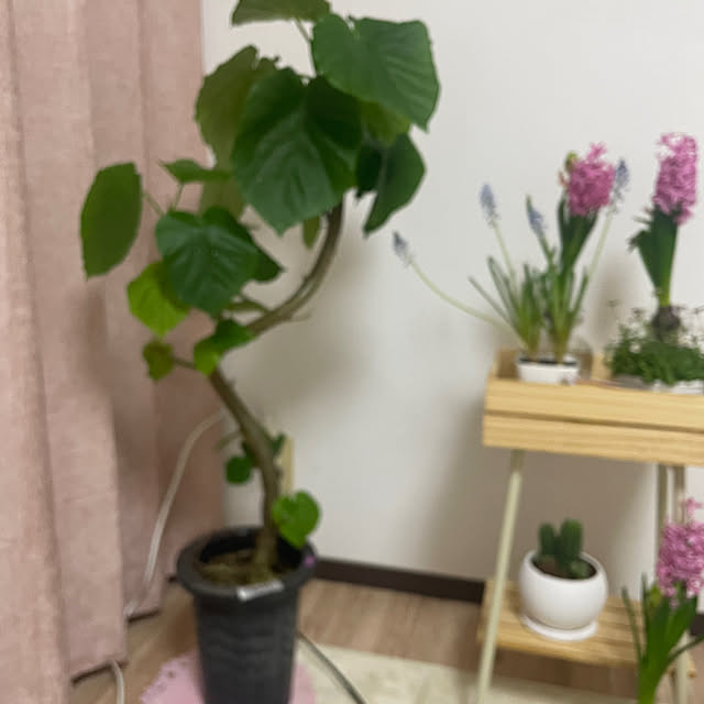 nagayamaさんの実例写真