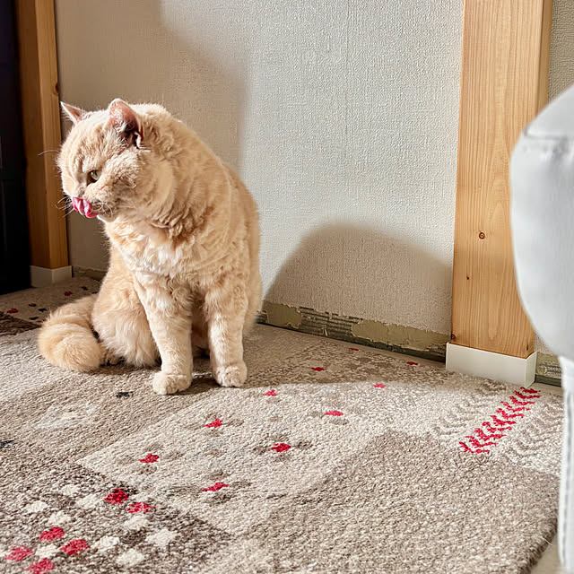 naokoさんの部屋