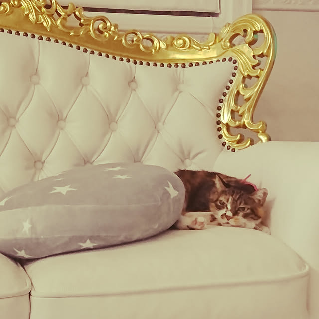 kingandqueenさんの実例写真