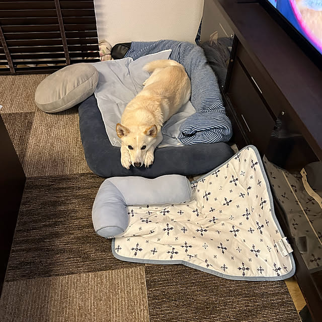 tanboさんの部屋
