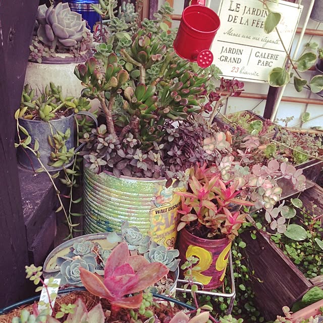 563kさんの実例写真