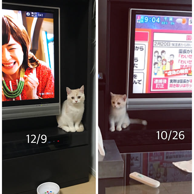 H.Tさんの実例写真