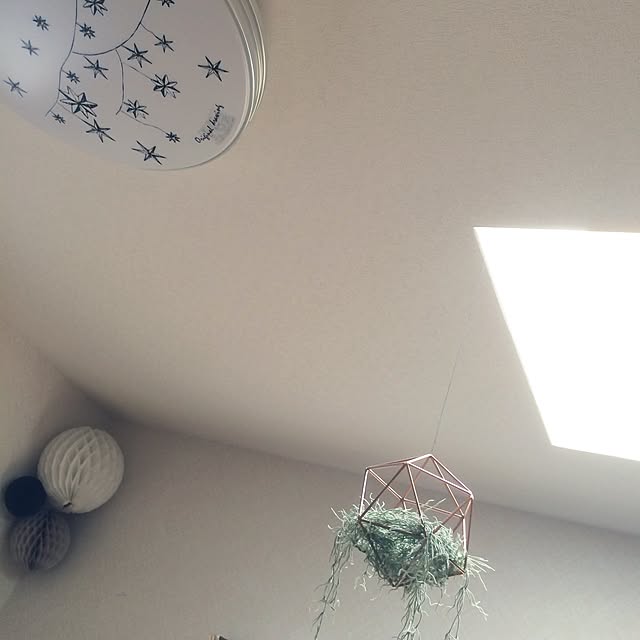 ppanさんの実例写真