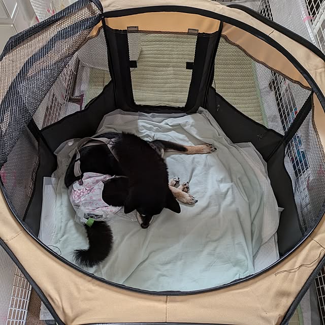 ponhanaさんの部屋