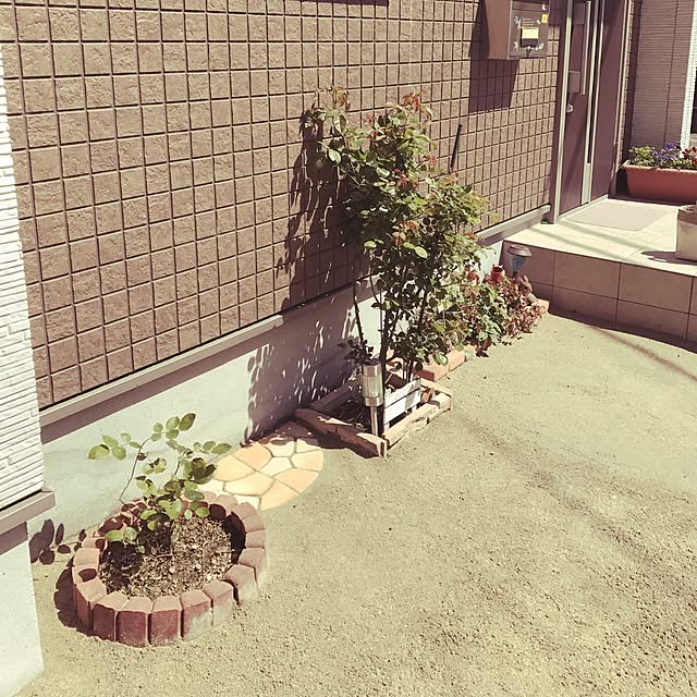 Masamiさんの実例写真
