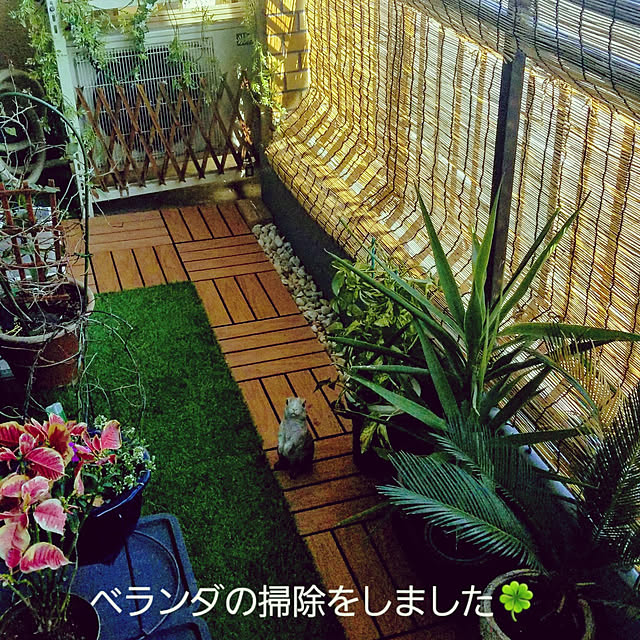 takoさんの実例写真