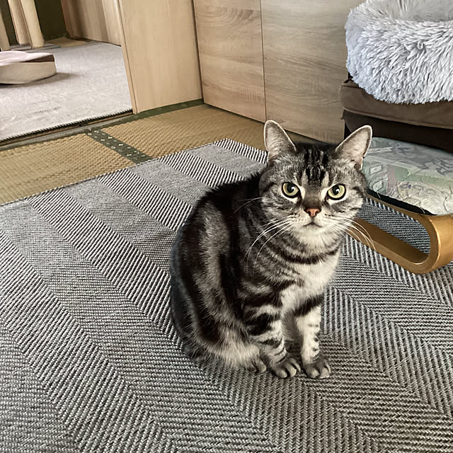 richanさんの部屋