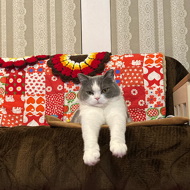 Riccoさんの実例写真