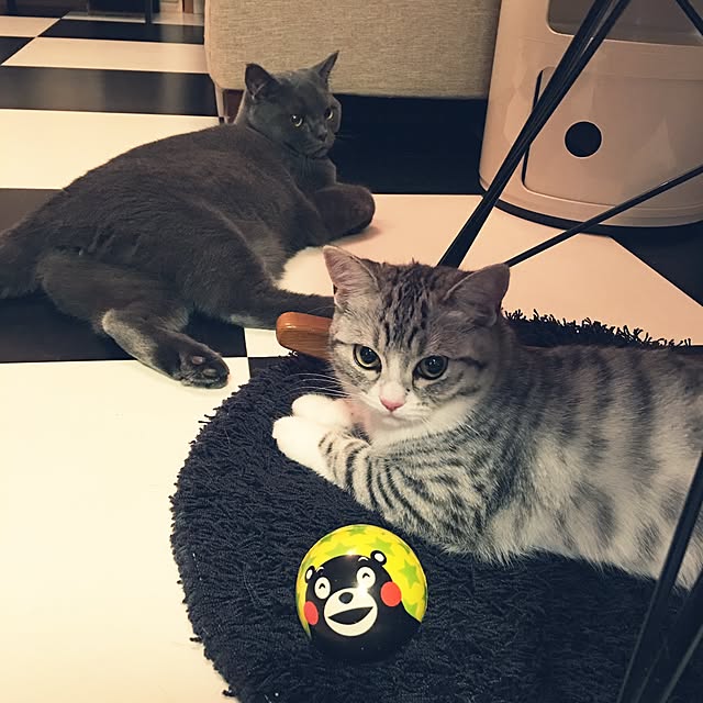 Shojiさんの実例写真